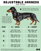 Adjustable Dog Harness - Dog or Donuts, Ankorstore, The Clean Market