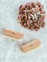 Plastic Free Natural Nailbrush, Ecoliving, The Clean Market