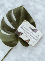 Handmade Natural Soap - Cedarwood & Lemongrass, The Clovelly Soap Company, The Clean Market