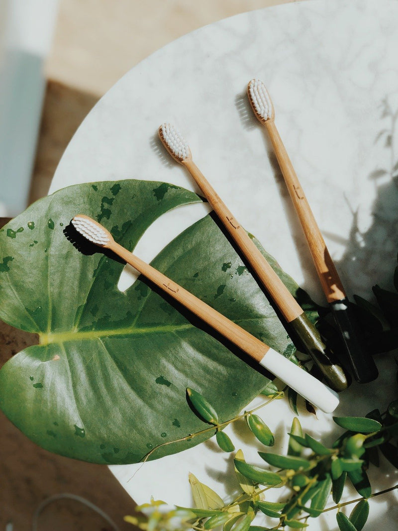Bamboo Toothbrush - Medium - Storm Grey, Green Pioneer, The Clean Market  