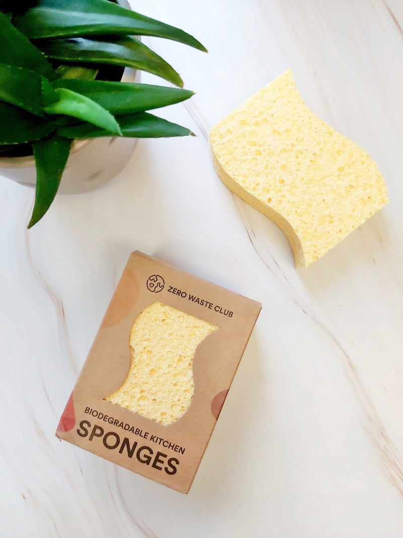 Biodegradable Kitchen Sponge - Pack of 2, Zero Waste Club, The Clean Market  