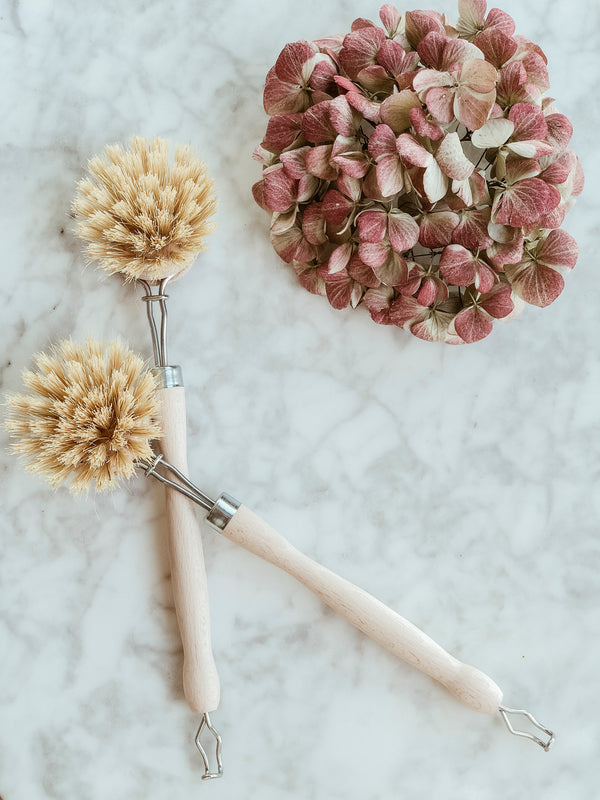 Plastic Free Wooden Dish Brush, Ecoliving, The Clean Market  